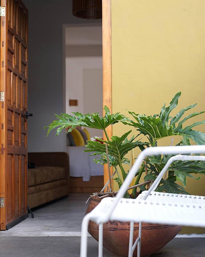 Casa Cafeologo Hotel San Cristobal de las Casas Luaran gambar
