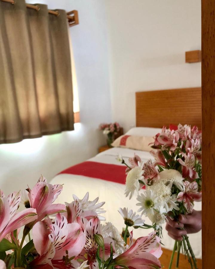 Casa Cafeologo Hotel San Cristobal de las Casas Luaran gambar